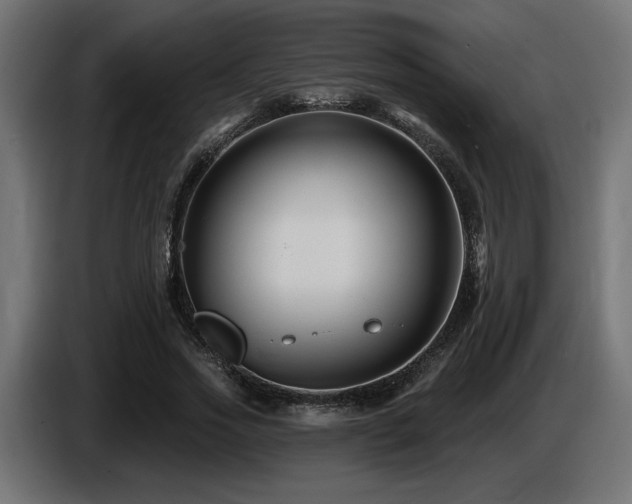 X0000087680733200705041028