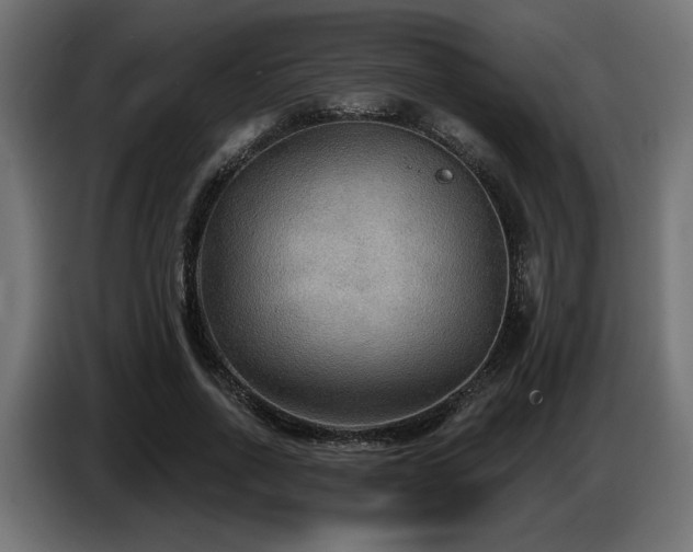 X0000087680734200705041028