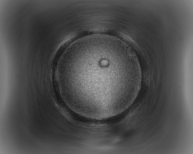X0000087680735200705041028