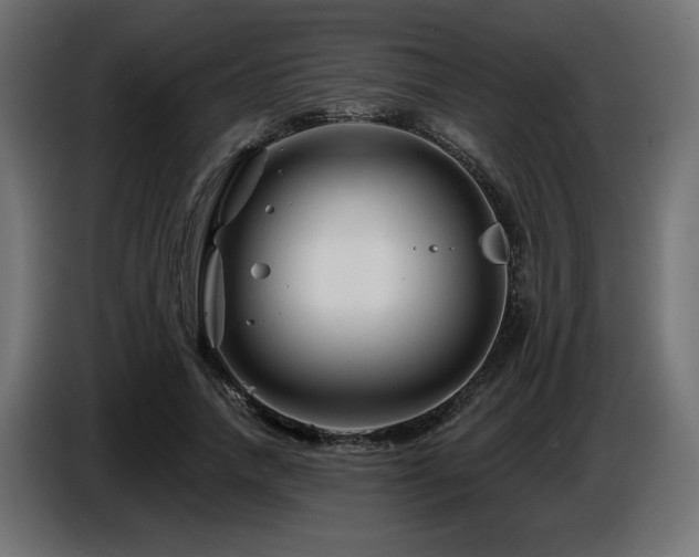 X0000087680738200705041028
