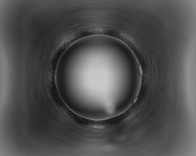 X0000087680739200705041028