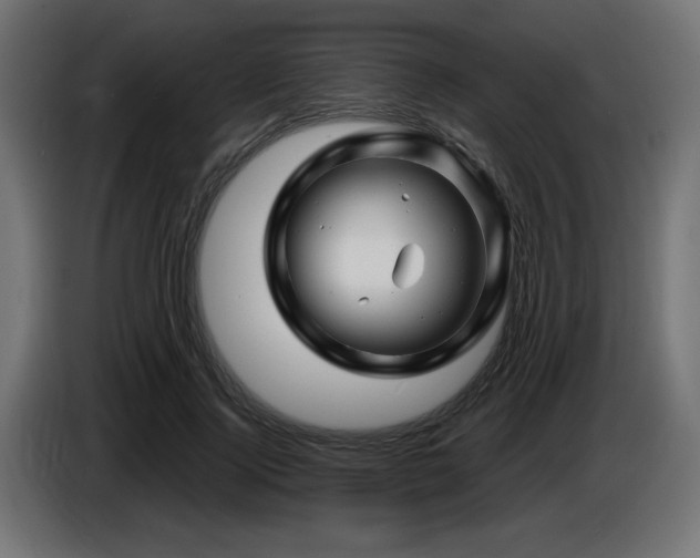X0000087680740200705041028
