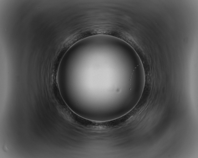 X0000087680741200705041028