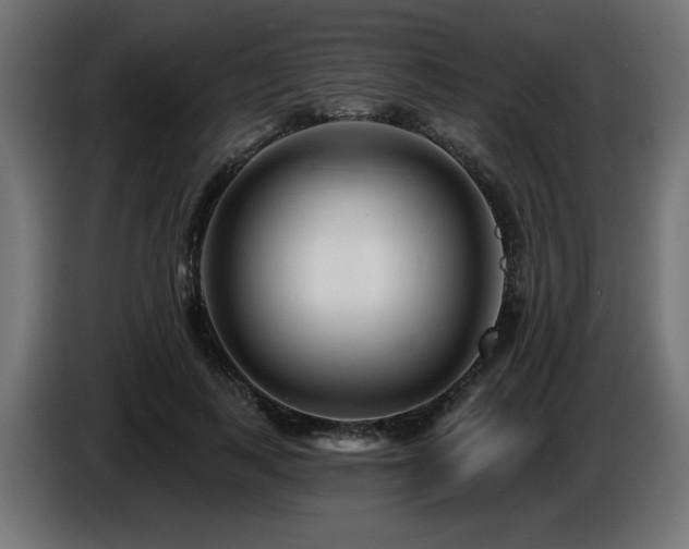 X0000087680743200705041028