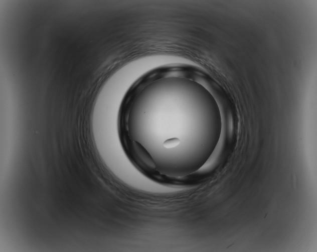 X0000087680744200705041028