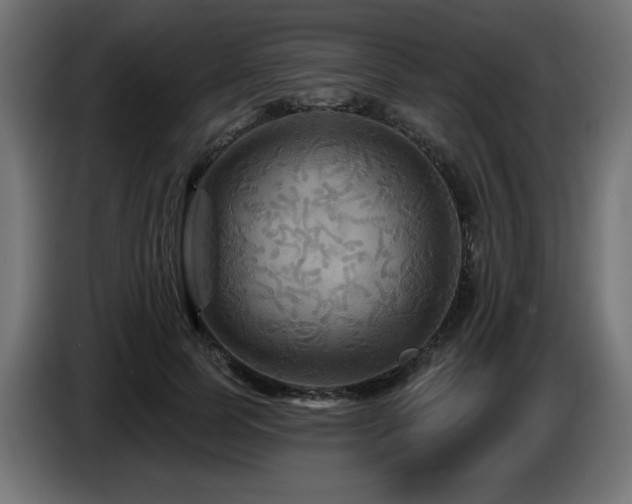 X0000087680745200705041028