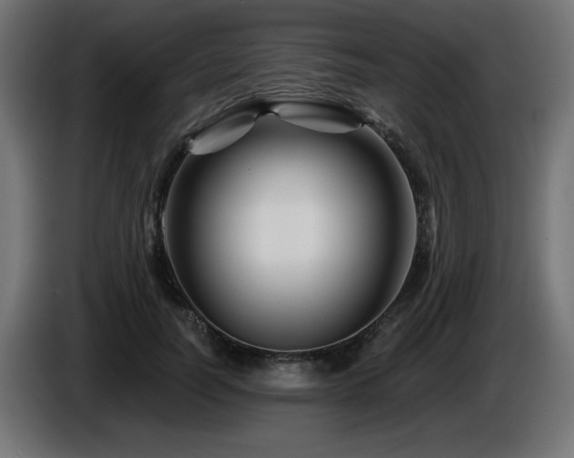 X0000087680746200705041028