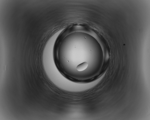 X0000087680748200705041028
