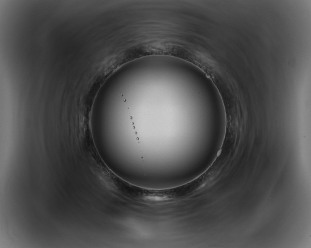 X0000087680749200705041028
