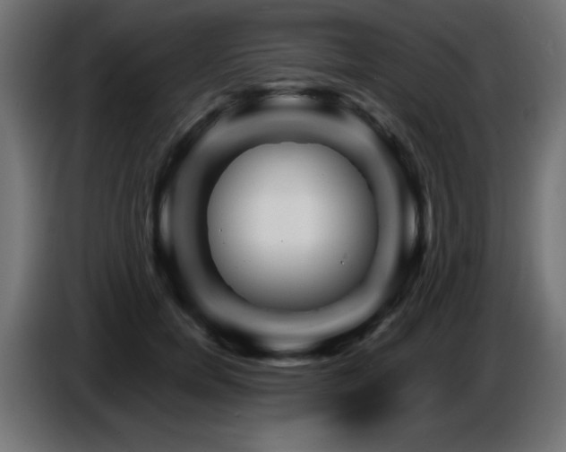 X0000087680750200705041028