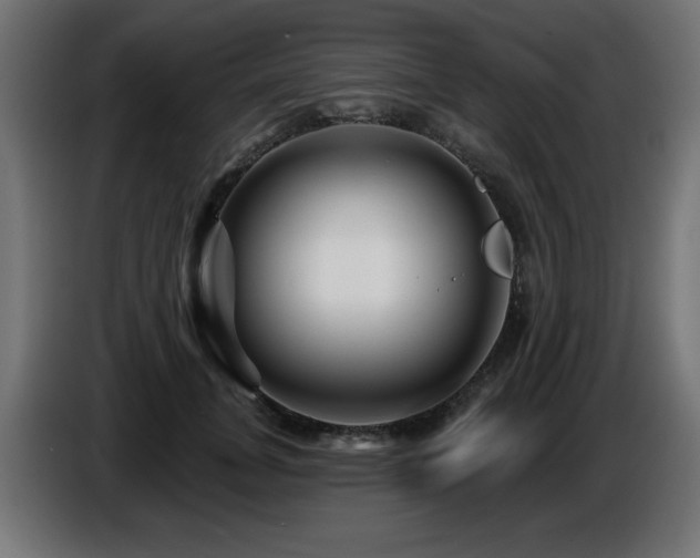 X0000087680751200705041028