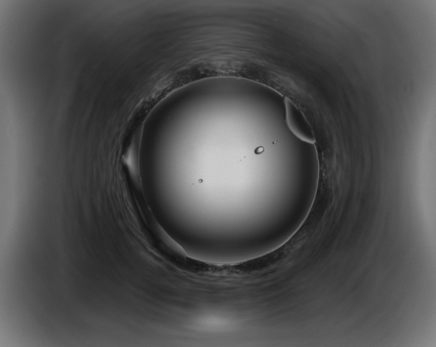 X0000087680752200705041028