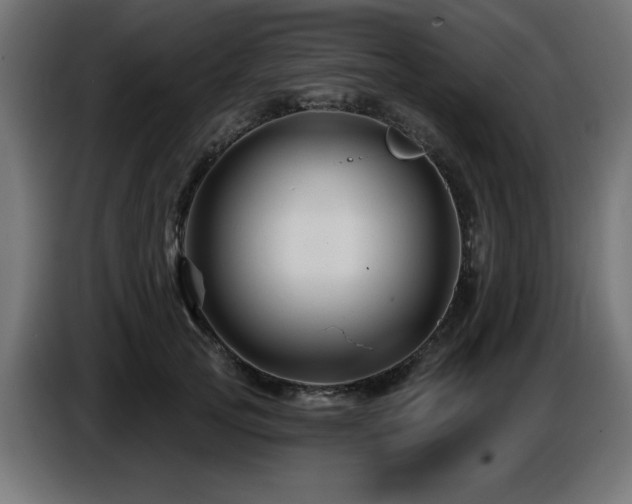 X0000087680753200705041028