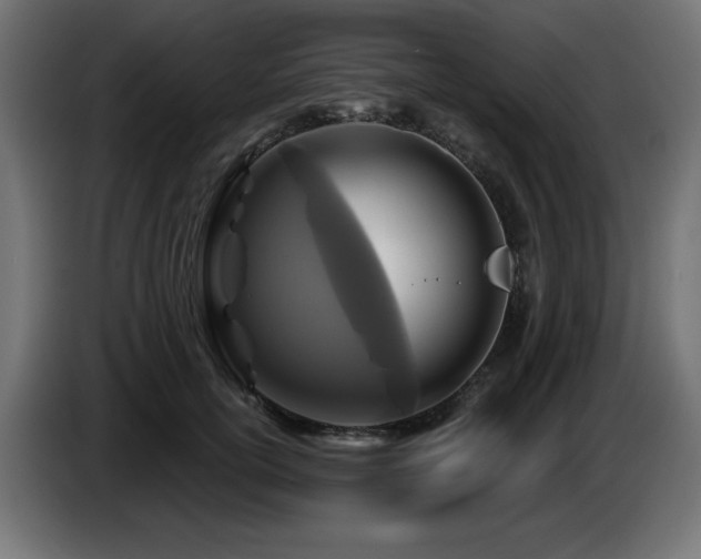 X0000087680754200705041028