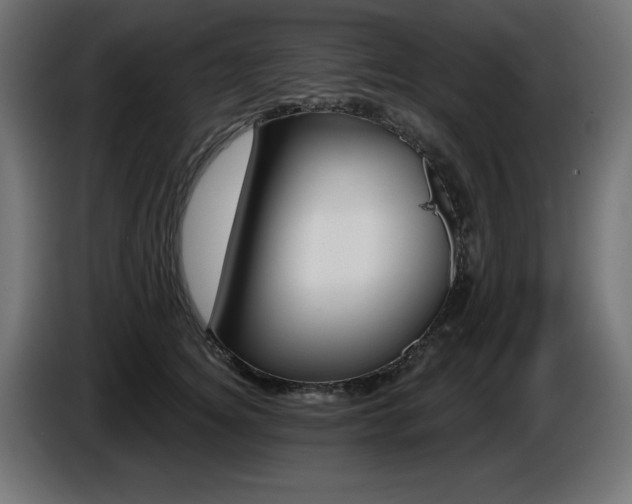 X0000087680756200705041028