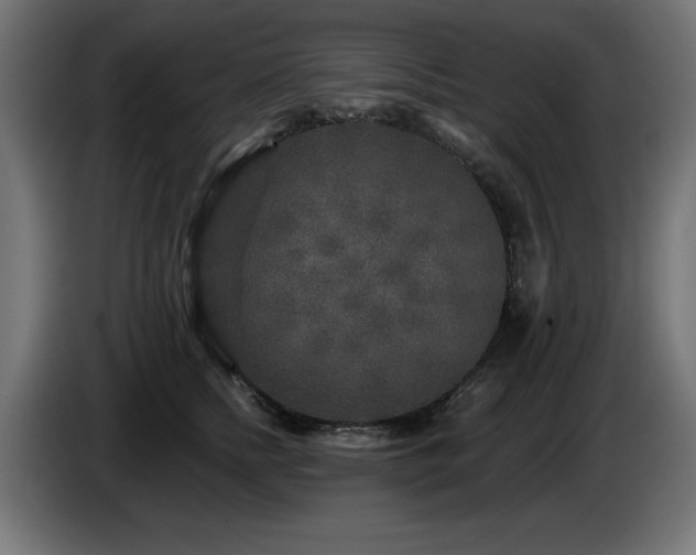 X0000087680758200705041028