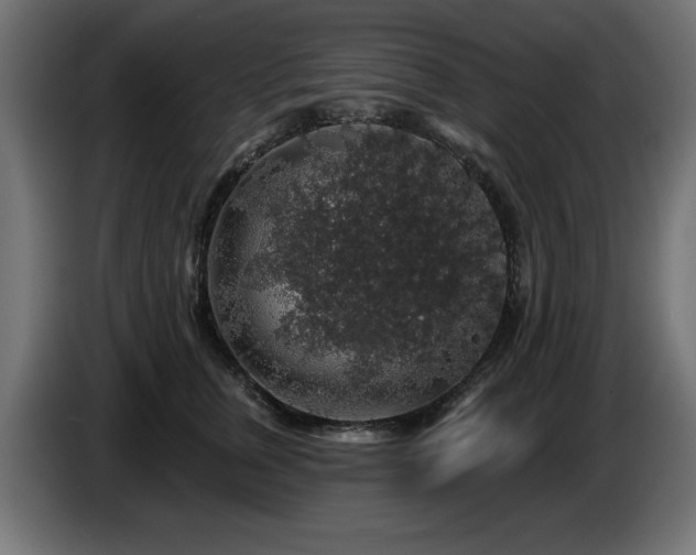 X0000087680759200705041028