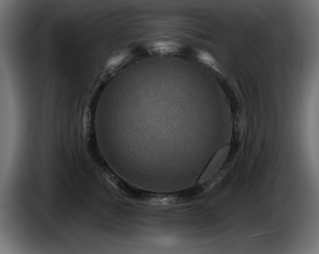 X0000087680760200705041028