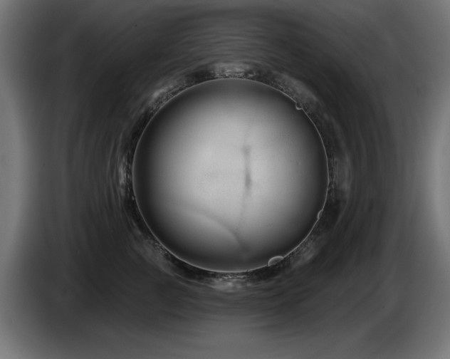 X0000087680761200705041028