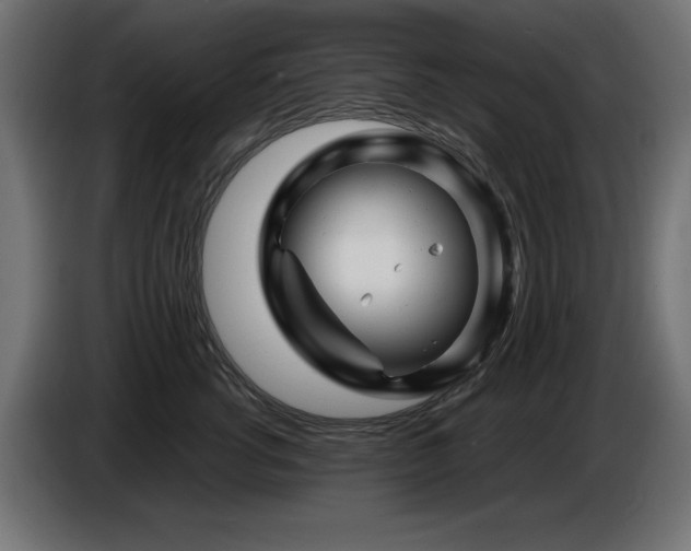 X0000087680762200705041028