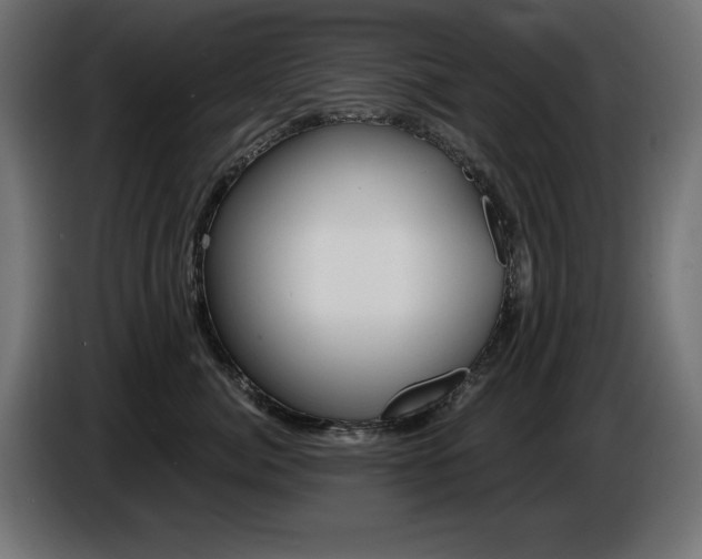 X0000087680764200705041028