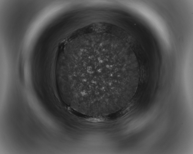 X0000087680765200705041028