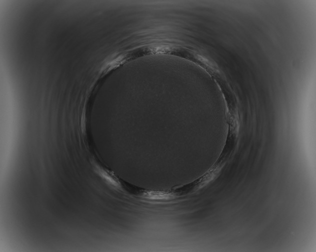 X0000087680766200705041028