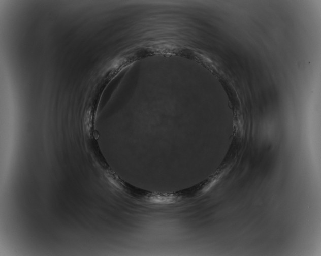 X0000087680767200705041028