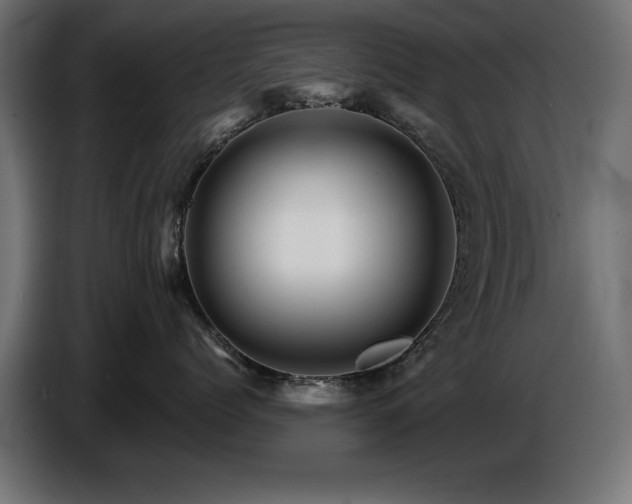 X0000087680768200705041028