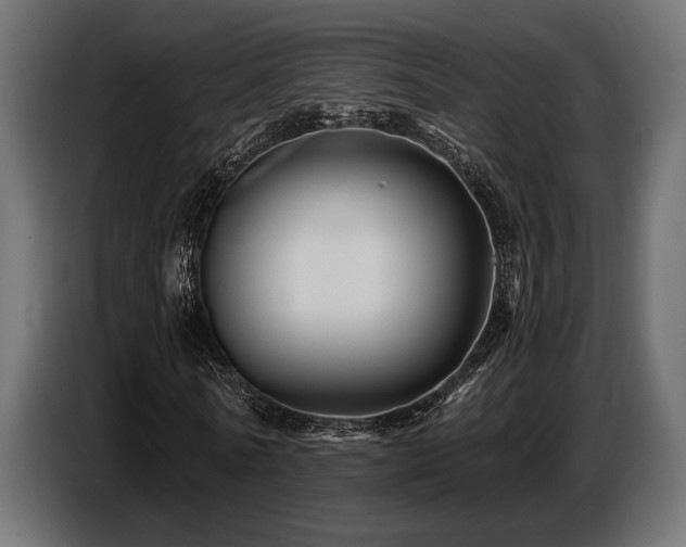 X0000087680770200705041028
