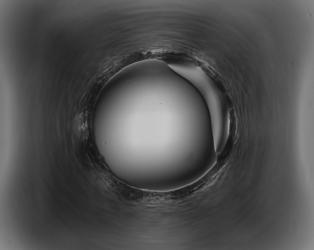 X0000087680771200705041028