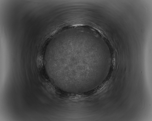 X0000087680772200705041028