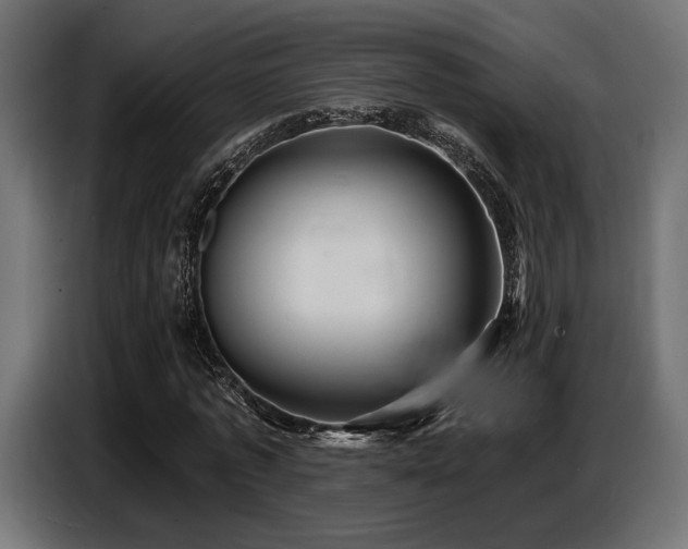 X0000087680773200705041028