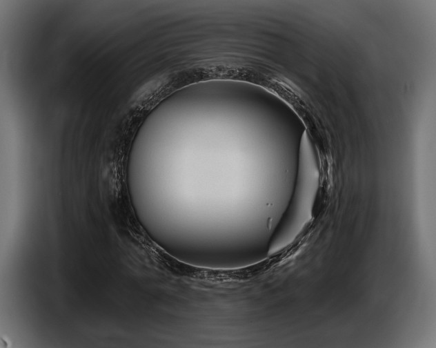 X0000087680774200705041028