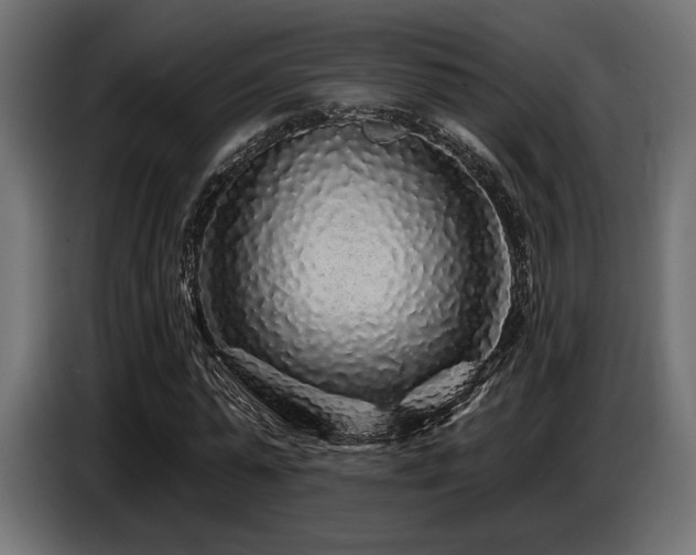 X0000087680775200705041028