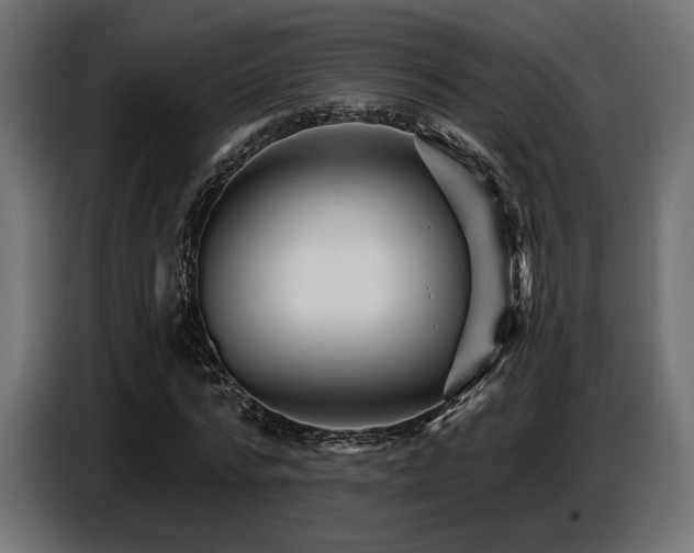 X0000087680776200705041028