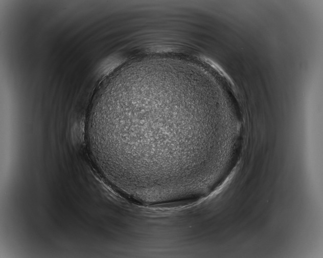 X0000087680777200705041028