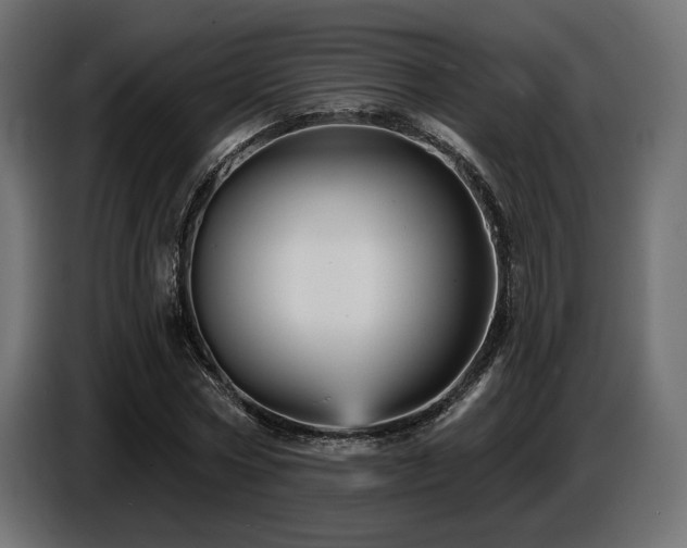 X0000087680778200705041028