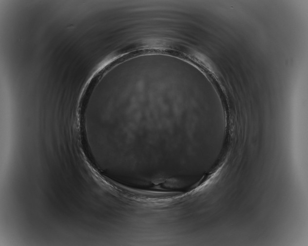 X0000087680779200705041028