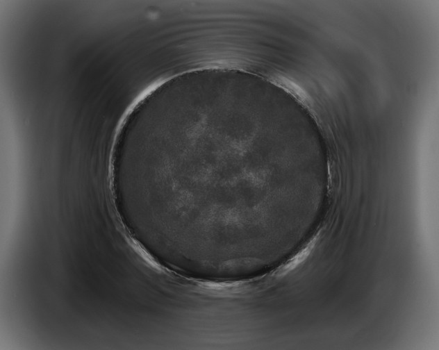 X0000087680780200705041028