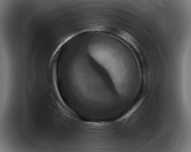 X0000087680781200705041028