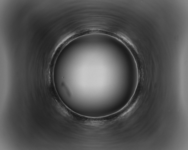 X0000087680782200705041028