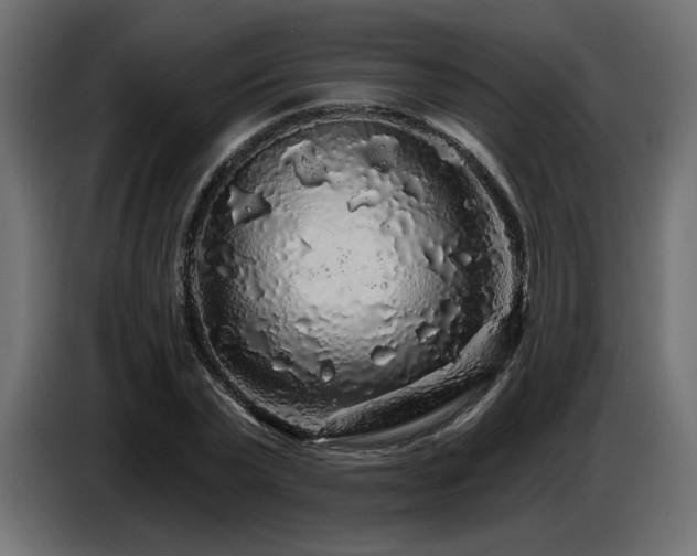 X0000087680783200705041028