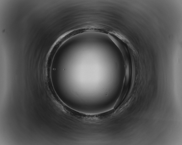 X0000087680784200705041028