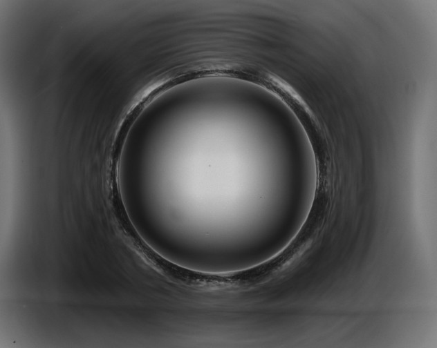 X0000087680786200705041028