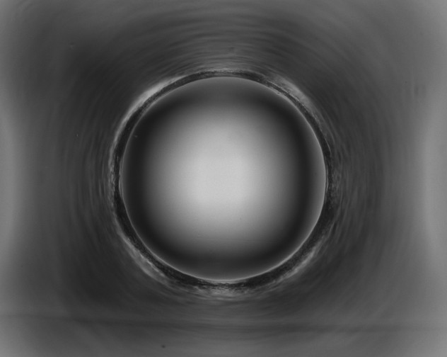 X0000087680787200705041028