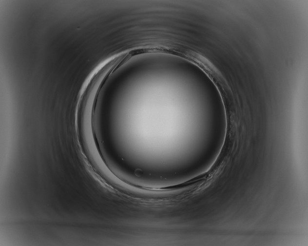 X0000087680788200705041028