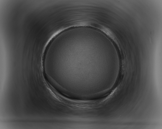 X0000087680789200705041028
