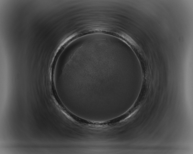 X0000087680790200705041028