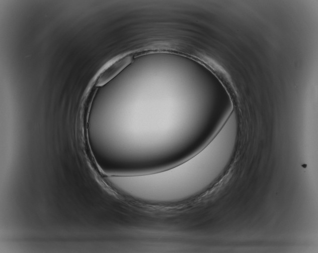 X0000087680792200705041028